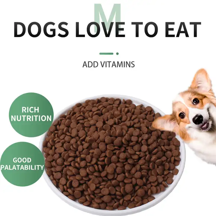 How to choose the right dog food for your dog?