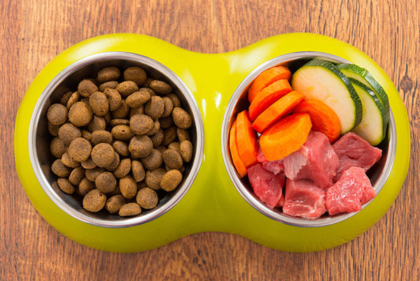 Top-Breed-Dog-Food