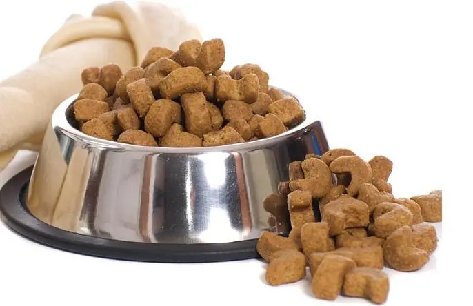 Unlock the Secrets of Premium Dog Food: MeiMiao Pet Food's Commitment to Canine Health