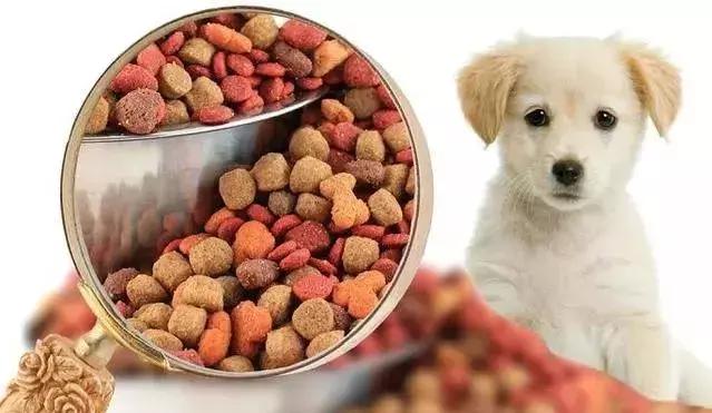 MeiMiao Pet Food: A Comprehensive Review of Quality and Nutrition for Your Furry Friends