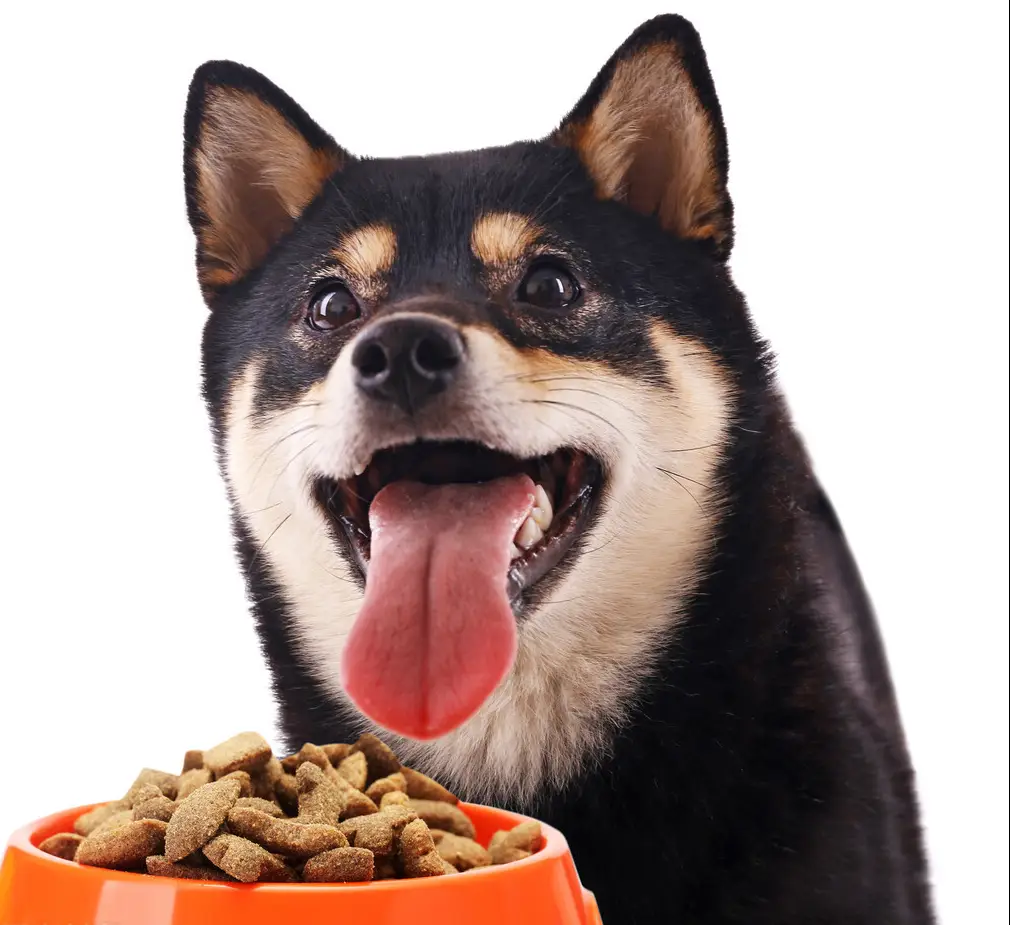  MeiMiao Dog Food: A Global Choice for Canine Nutrition