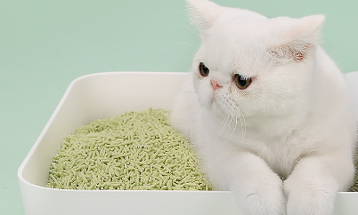  Enhance Your Feline's Lifestyle with MeiMiao Cat Litter: The Expert Choice