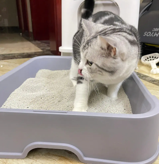 Types of Cat Litter & Cat’s Special Temperament