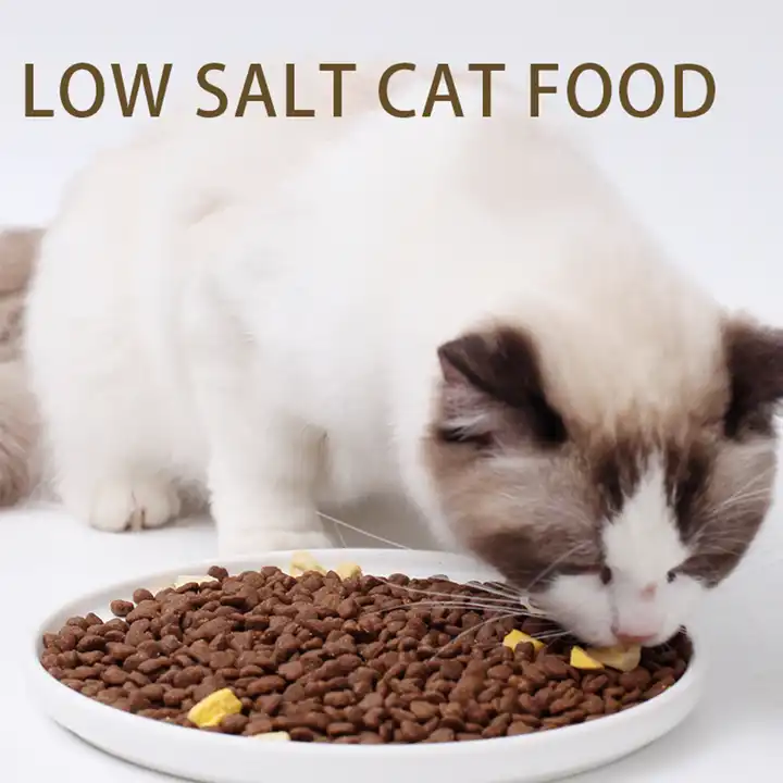 Which is healthier wet or dry cat food